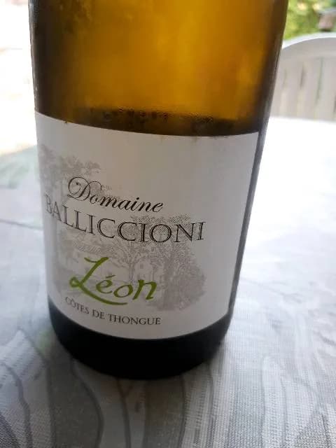 Bouteille de Léon — DOMAINE BALLICIONI, vin blanc