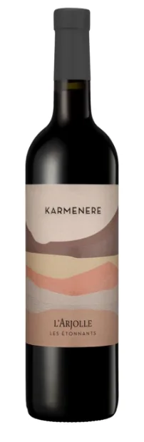 Bouteille de Carménère — DOMAINE DE L'ARJOLLE, vin rouge