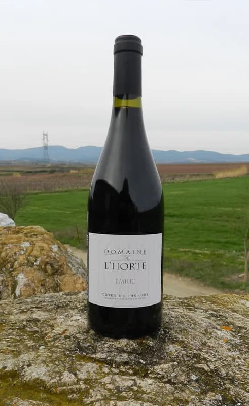 Bouteille de Émilie — DOMAINE DE L'HORTE, vin rouge