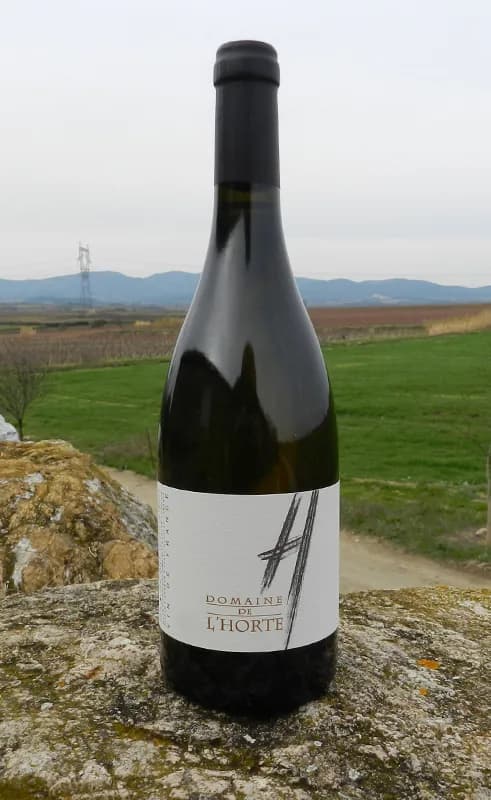 Bouteille de H… Blanc — DOMAINE DE L'HORTE, vin blanc