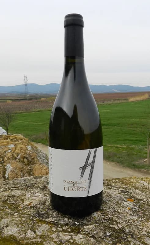 Bouteille de H… Rouge — DOMAINE DE L'HORTE, vin rouge