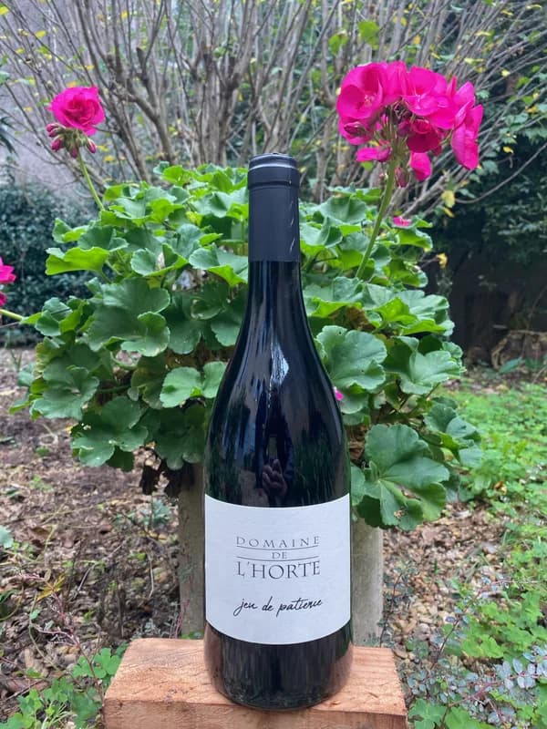 Bouteille de Jeu de Patience — DOMAINE DE L'HORTE, vin rouge