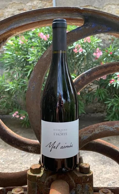 Bouteille de Mal Aimée — DOMAINE DE L'HORTE, vin rouge