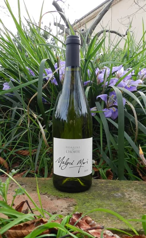 Bouteille de Malgré Moi — DOMAINE DE L'HORTE, vin blanc
