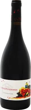 Bouteille de Les Raisins de la Colère — DOMAINE DE LA TOUR PENEDESSES, vin rouge