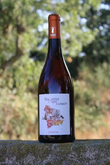 Bouteille de L'Inattendu — DOMAINE DE MONTBUISSON, vin rouge