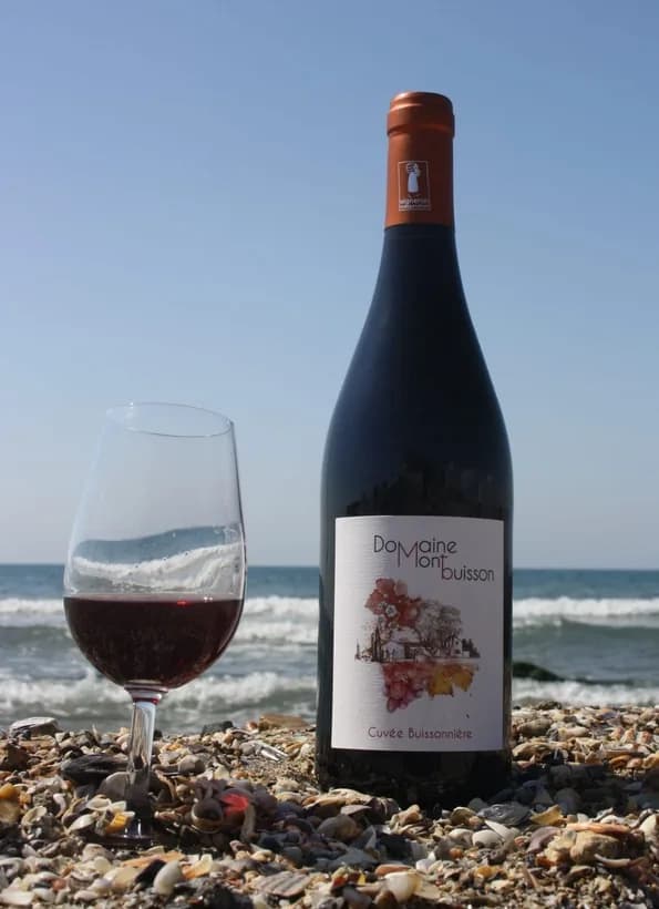 Bouteille de La Cuvée Buissonnière — DOMAINE DE MONTBUISSON, vin rouge