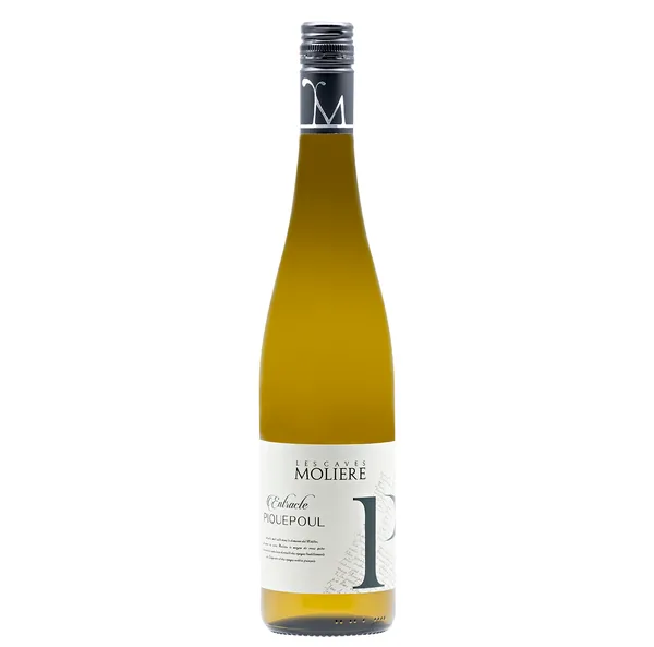 Bouteille de Entracte Piquepoul — LES CAVES MOLIERE, vin blanc
