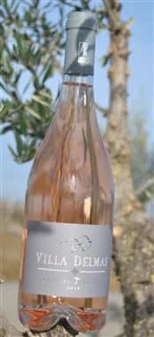 Bouteille de Rosé en Terrasse — VILLA DELMAS, vin rosé