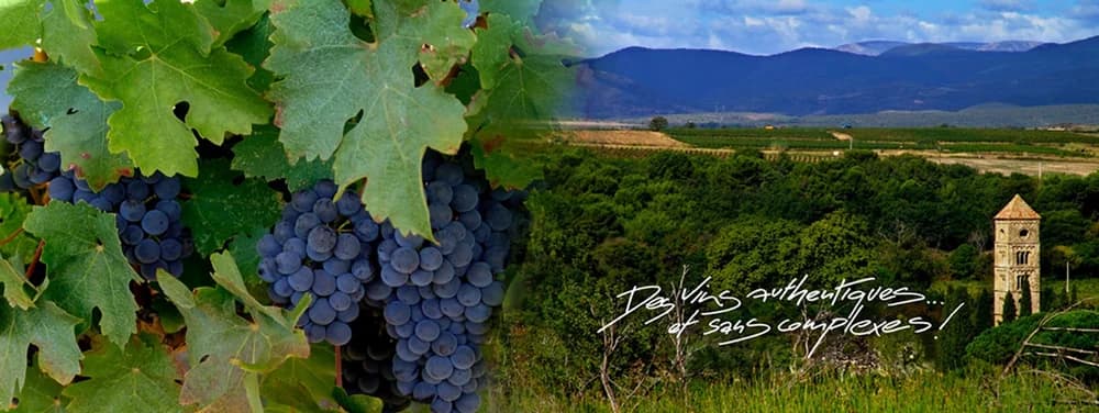 DOMAINE BASSAC — paysage du domaine