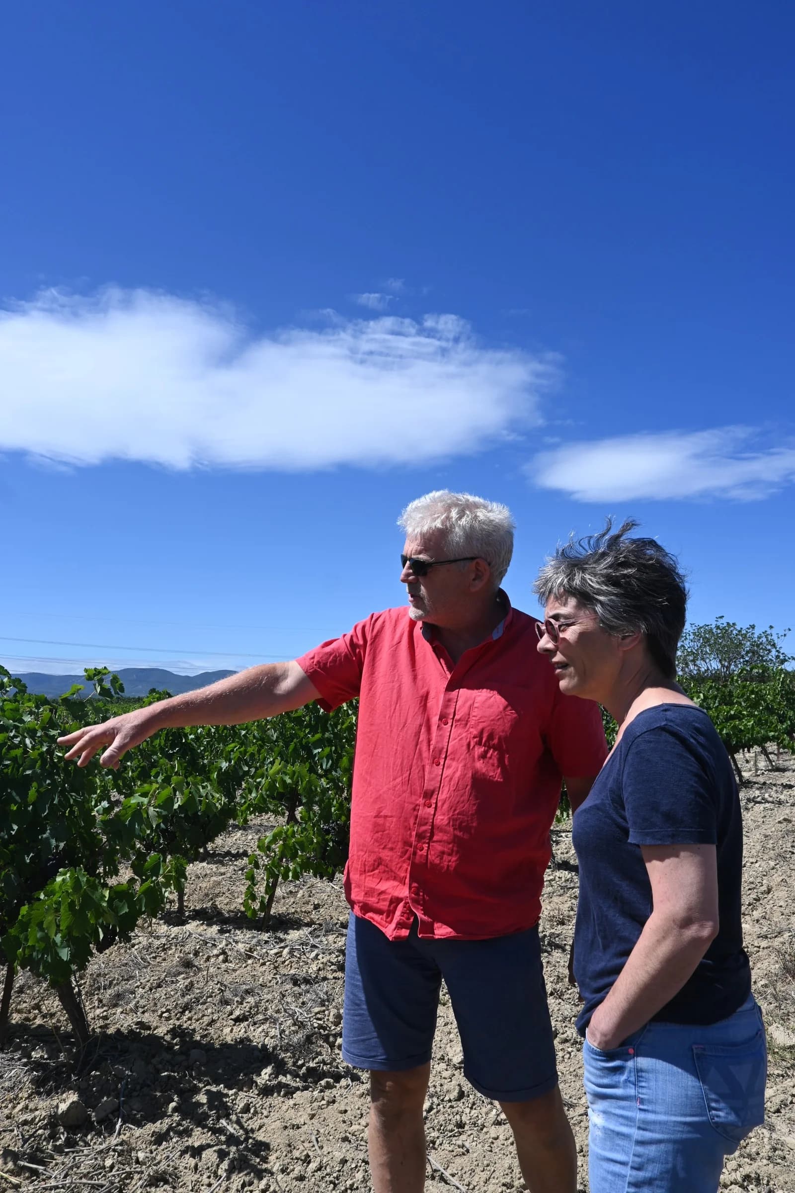 DOMAINE DE L'HORTE — paysage du domaine