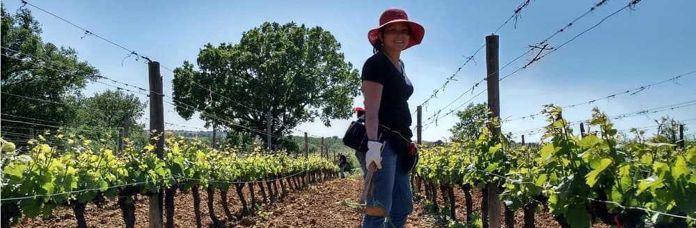 LES CHEMINS DE BASSAC — paysage du domaine