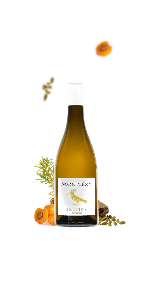 Bouteille de Emocion Blanc — DOMAINE MONPLEZY, vin blanc