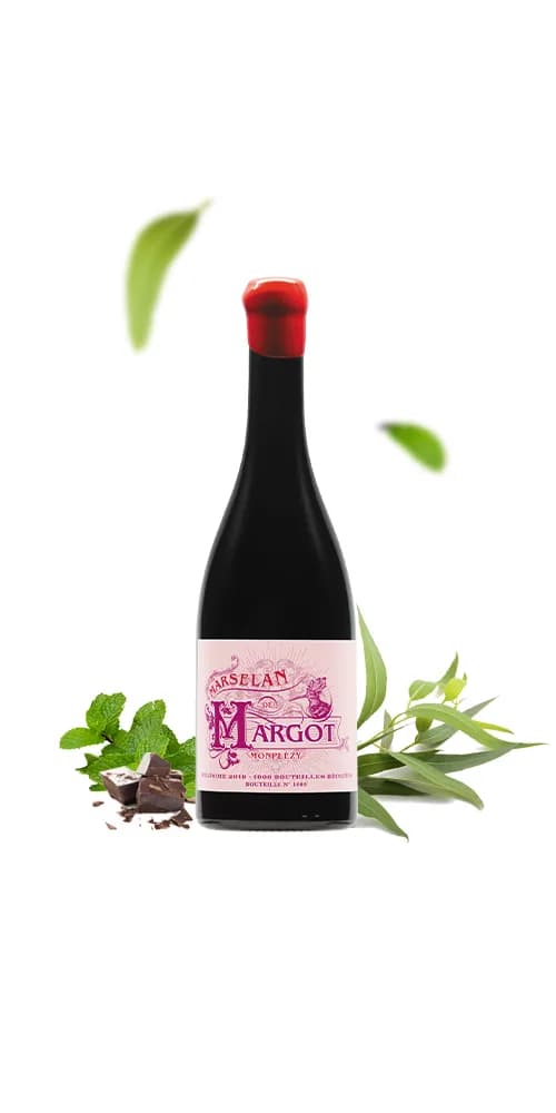 Bouteille de Margot — DOMAINE MONPLEZY, vin rouge