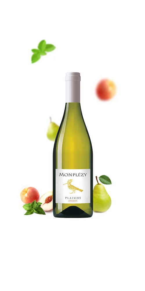 Bouteille de Plaisirs Blanc — DOMAINE MONPLEZY, vin blanc
