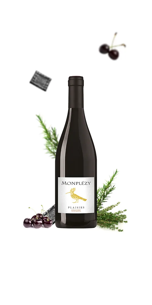 Bouteille de Plaisirs Rouge — DOMAINE MONPLEZY, vin rouge