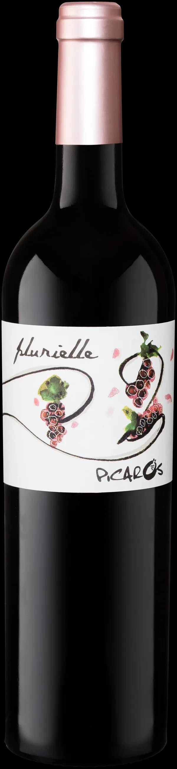 Bouteille de Plurielle — DOMAINE PICARO'S, vin rouge