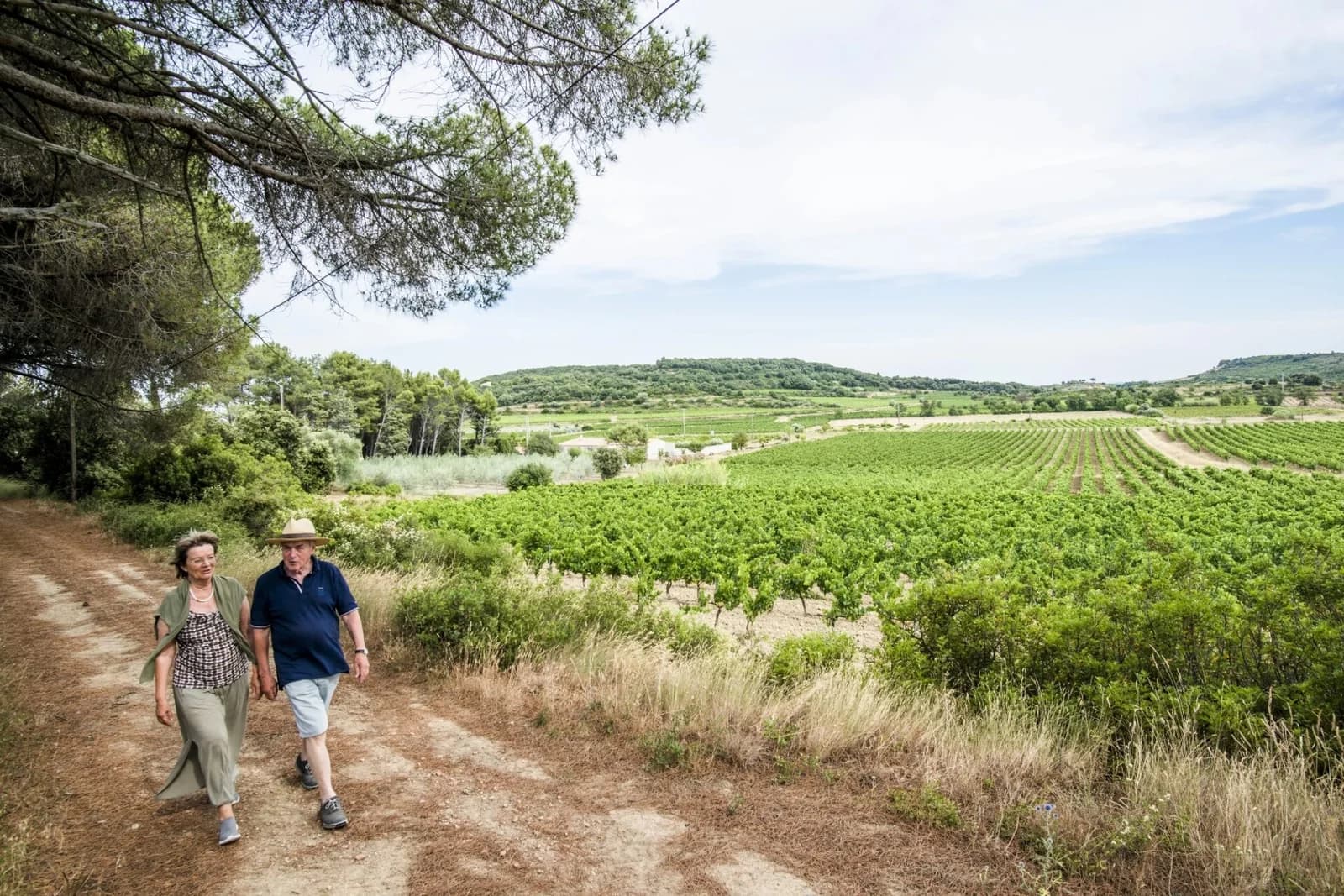 DOMAINE LA GRANGE — paysage du domaine