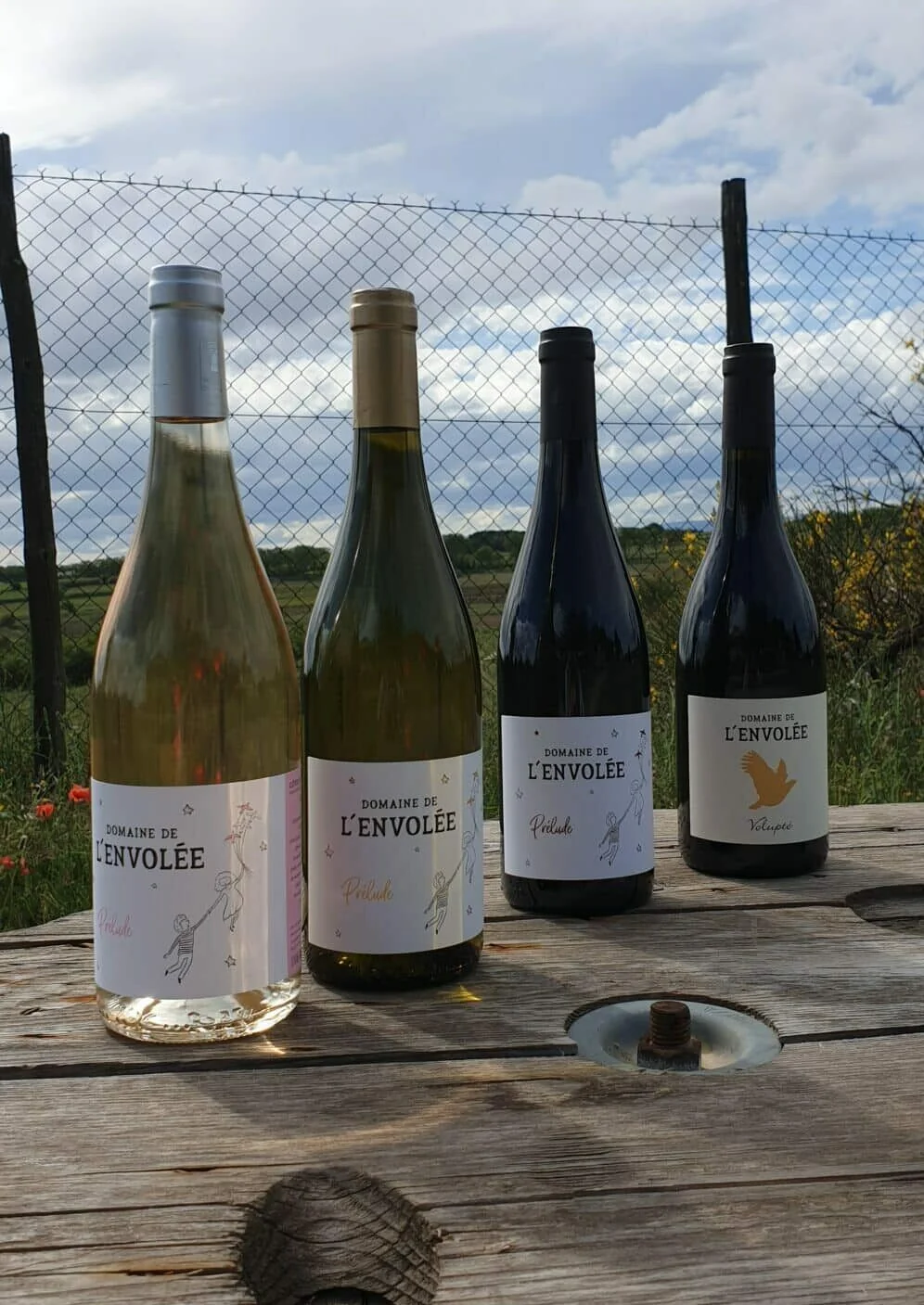 Domaine de l'Envolee — image