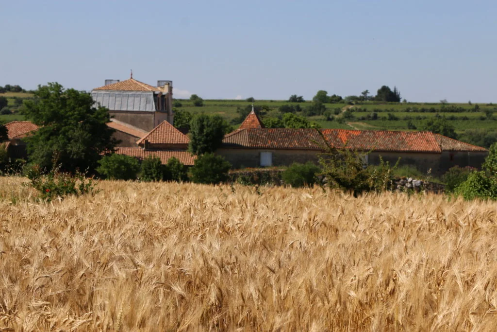 Domaine de l'Horte — architecture