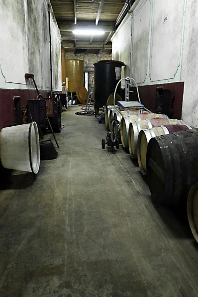 Domaine de l'Horte — cave