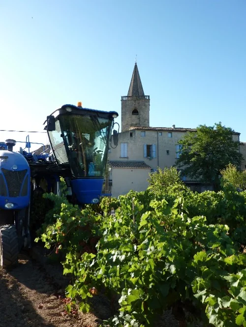 Domaine de la Condamine — paysage