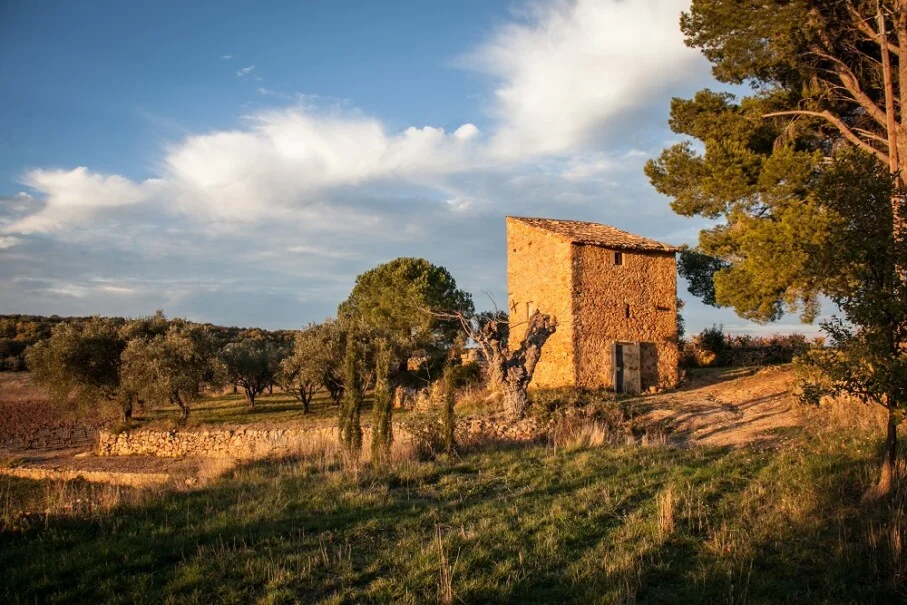Domaine de la Tour Penedesses — architecture