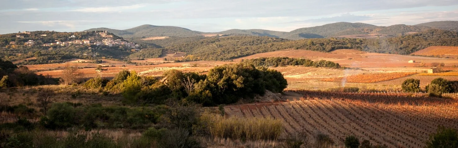 Domaine de la Tour Penedesses — paysage