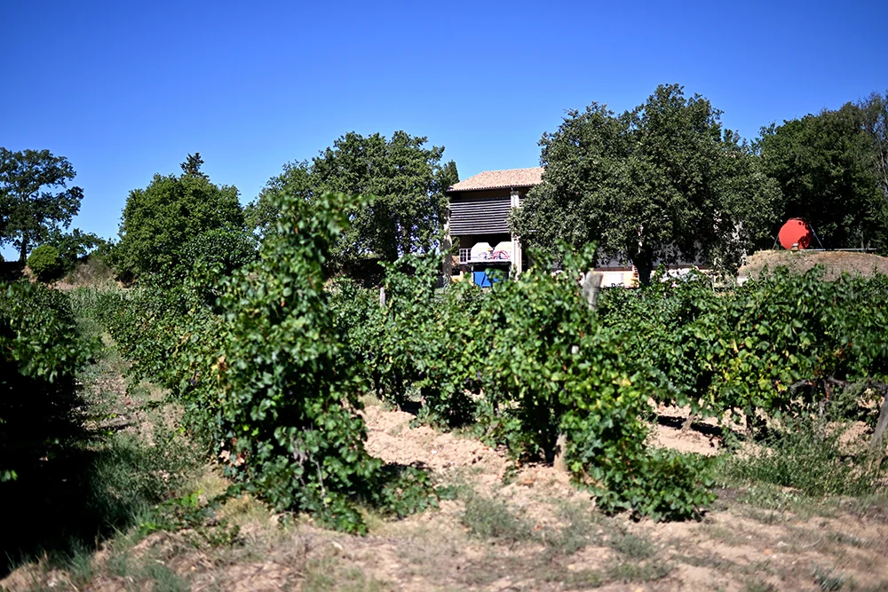 Domaine de Larzac — paysage