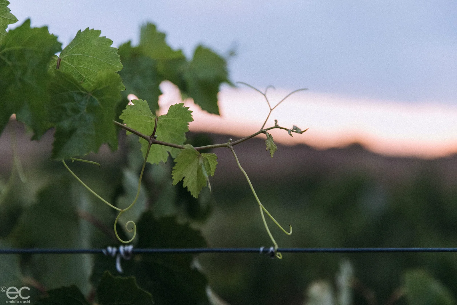 Domaine de Peyrat — paysage