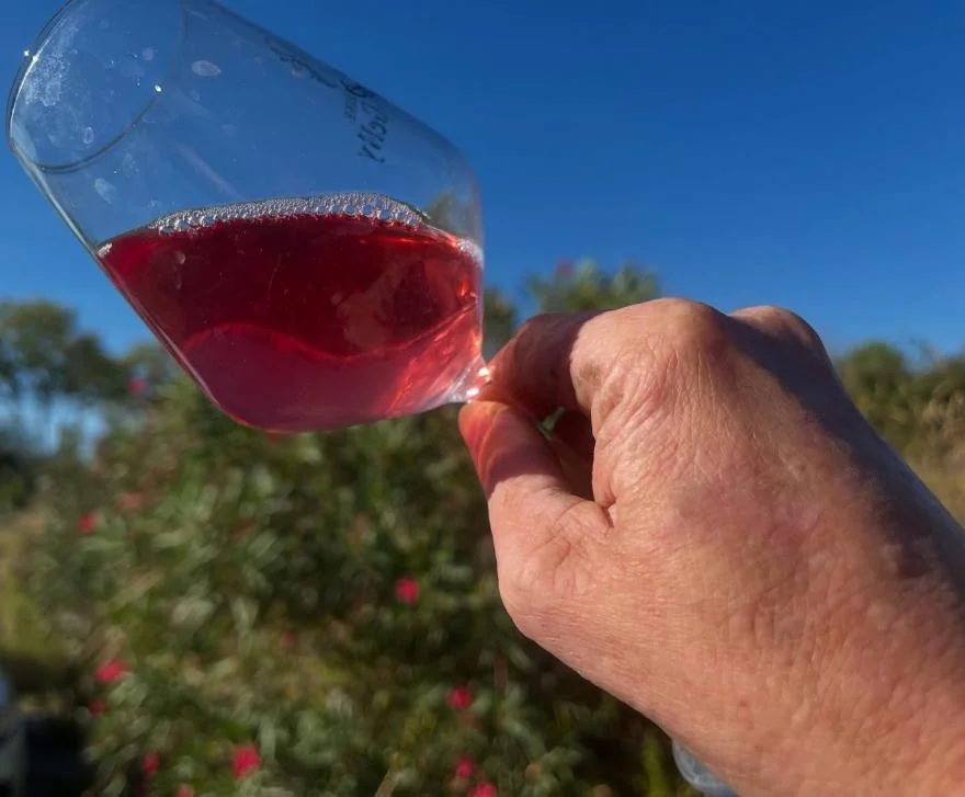 Domaine Eric Gelly — bouteilles