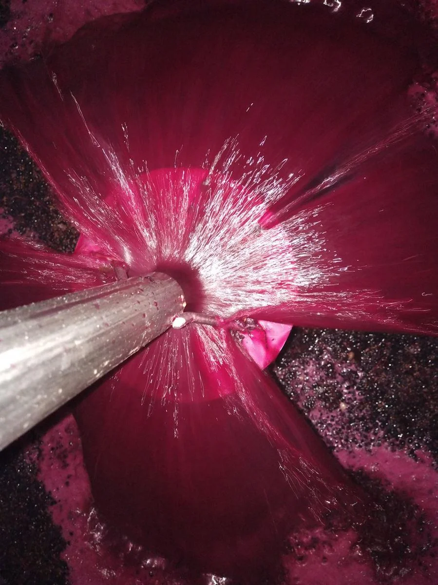 Domaine Eric Gelly — cave