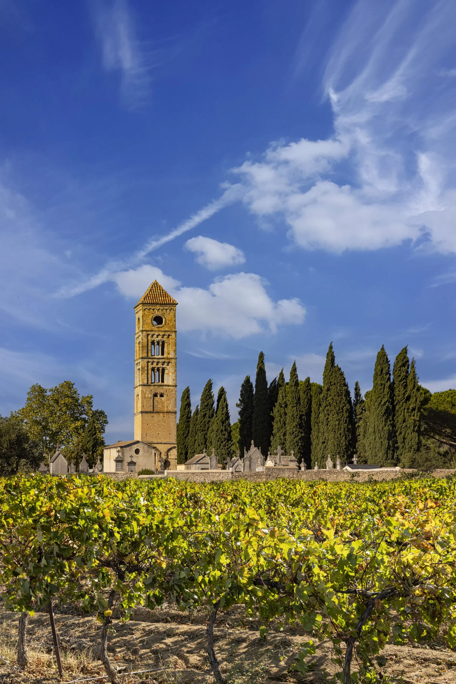 Domaine la Croix Belle — paysage