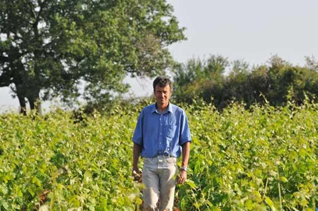 Domaine la Font de l'Olivier — humain