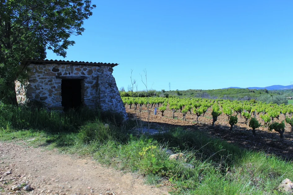 Domaine la Font de l'Olivier — paysage