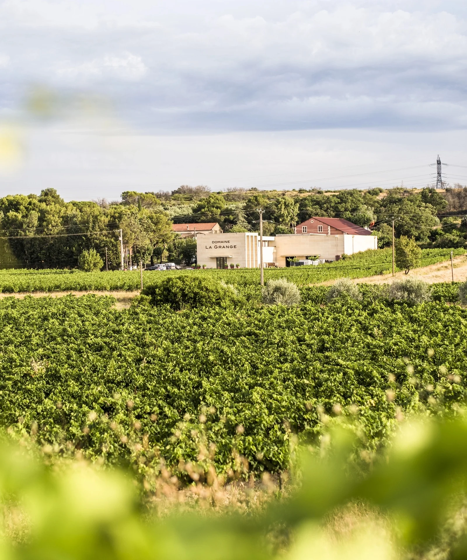 Domaine la Grange — cave