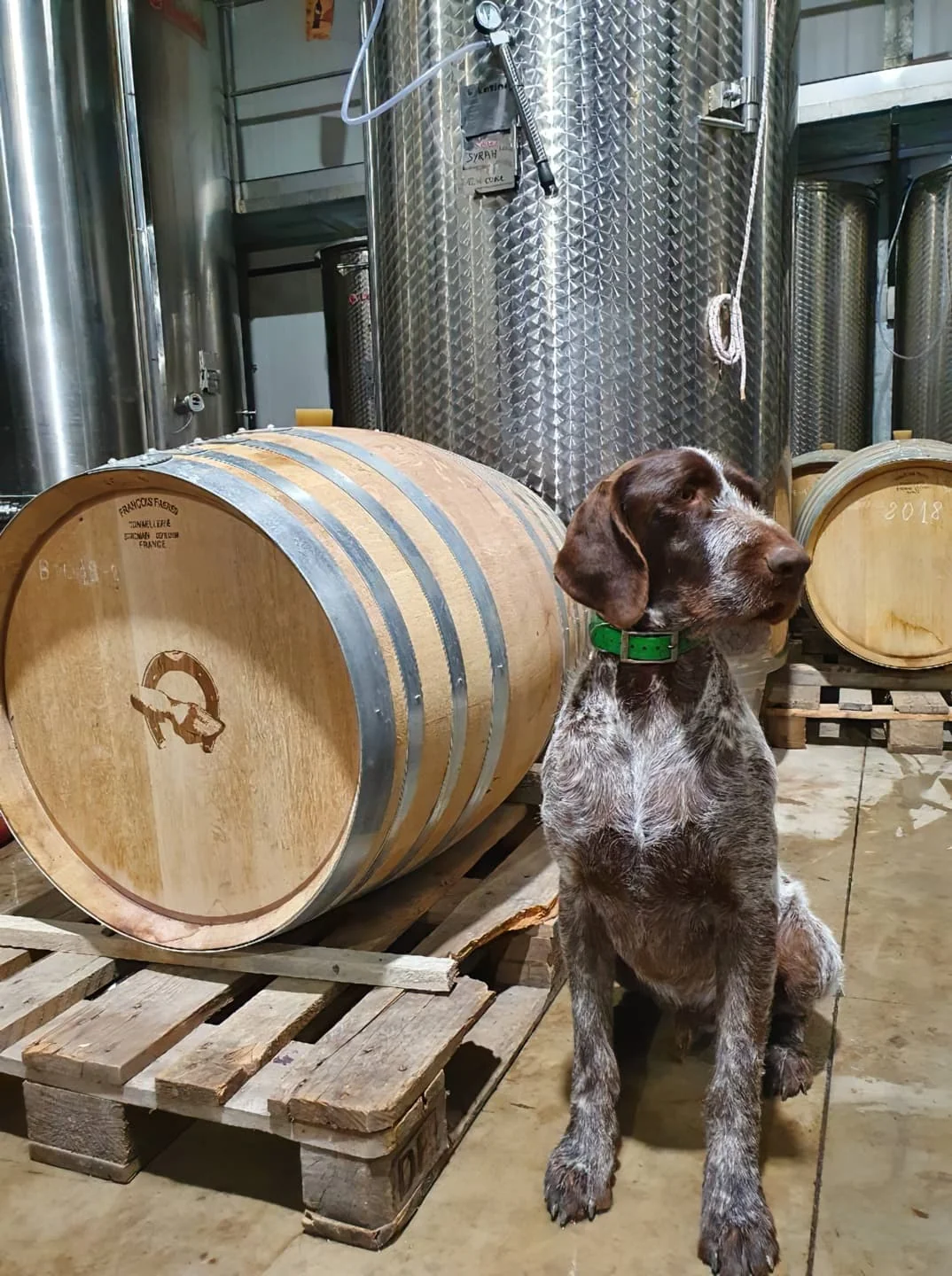 Domaine la Limbardiere — cave