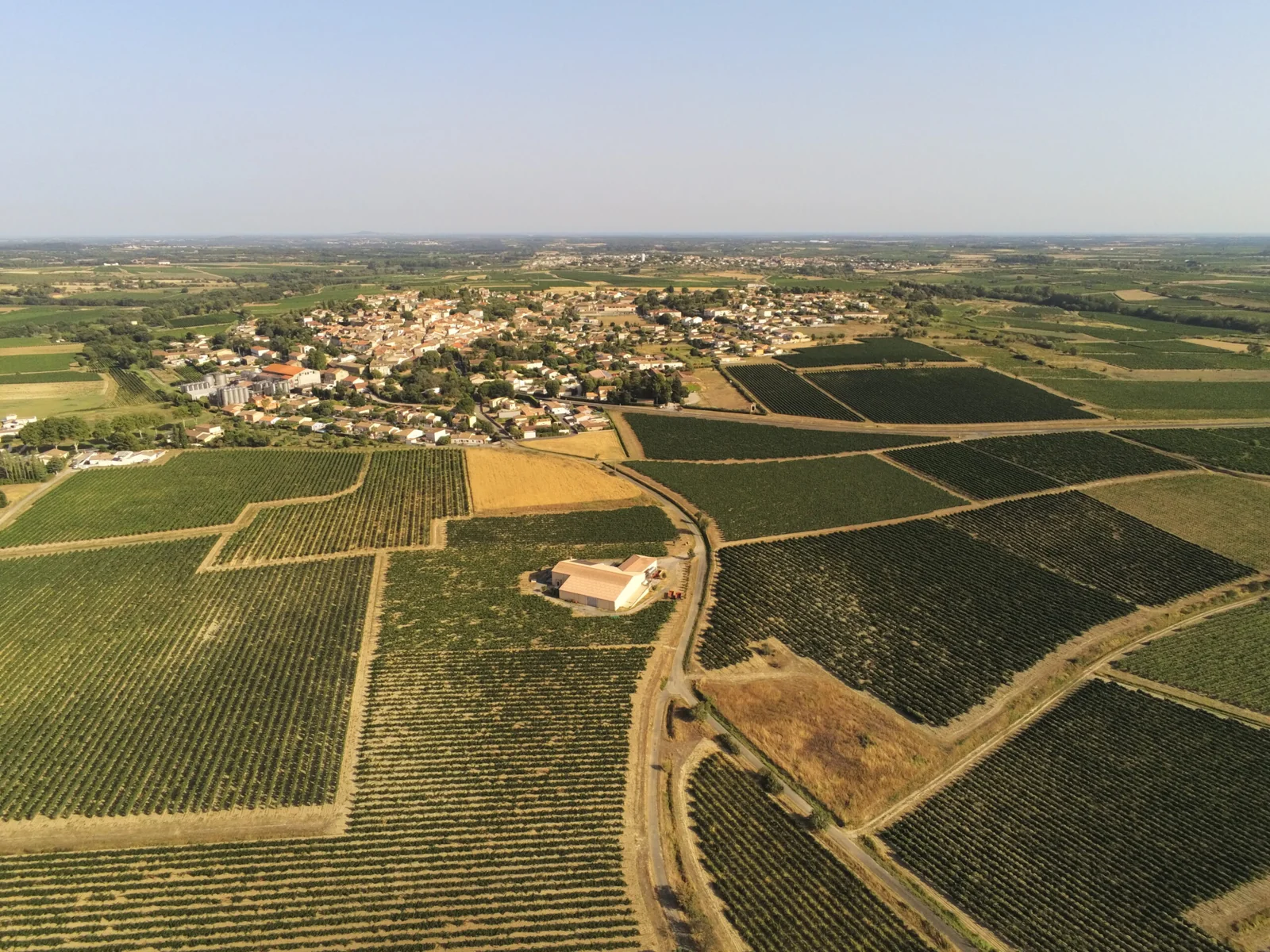 Domaine la Limbardiere — paysage