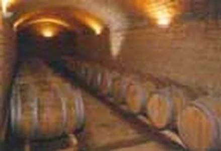 Chai d'elevage : alignement de barriques (futs de chene) dans une cave voutee en briques, eclairage tamise chaud. Atmosphere de cave traditionnelle. Image authentique du chai du domaine mais un peu douce/peu nette et basse resolution (439x300). Source : fiche Herault Tourisme du domaine.