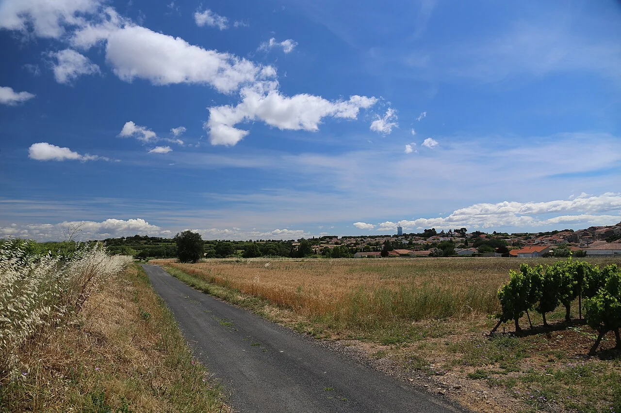 Repli commune Servian (pas une photo du domaine) — chemin viticole bordé de vignes menant au village de Servian sous un grand ciel bleu [CC BY-SA 3.0 · logopop]