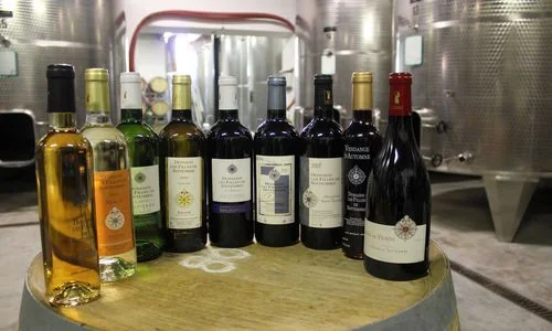 Alignement des bouteilles de la gamme du domaine (rouges, blancs, rosé) posées sur un tonneau, devant les cuves inox du chai. À la fois mise en avant de la gamme (packshot en situation) et vue du chai/cave. Format 500x300. Image de gamme valorisante prise dans le chai, distincte des étiquettes plate