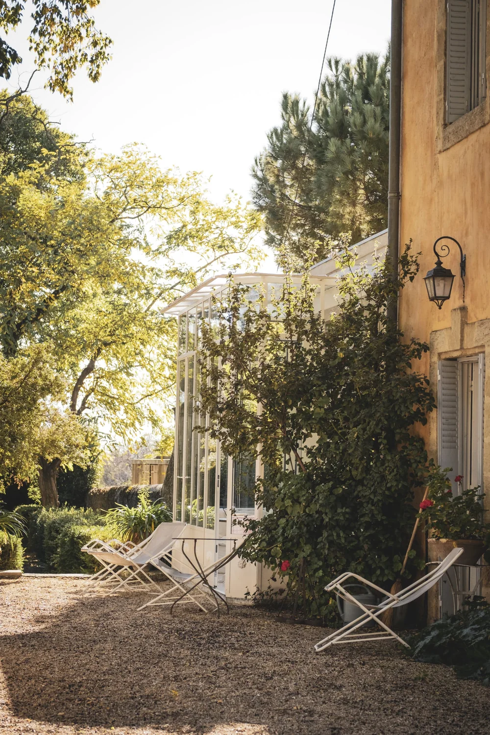 Cour gravillonnee du domaine avec transats/chaises longues blanches, vegetation luxuriante, rosier grimpant et lanterne en fer sur la facade ocre du mas. Ambiance dolce vita ensoleillee, format portrait.