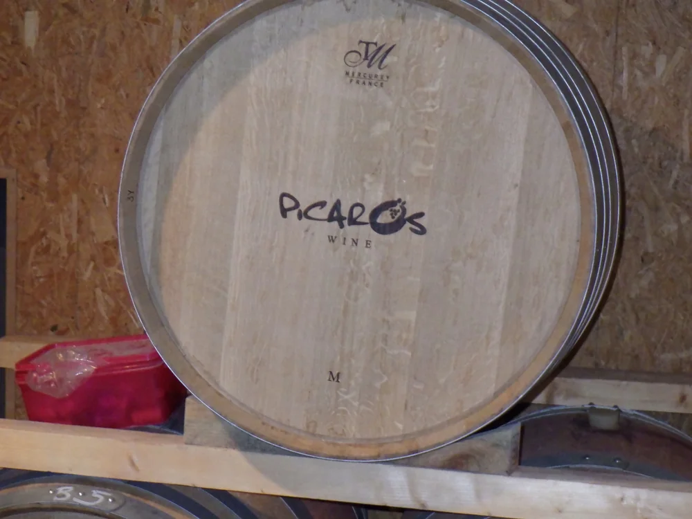 Fond de barrique en chene (Mercurey France) marque au logo 'PICARO'S WINE', posee sur un rack dans le chai. Photo documentaire prise au domaine (visite Rosemary George MW) ; montre l'elevage en futs.