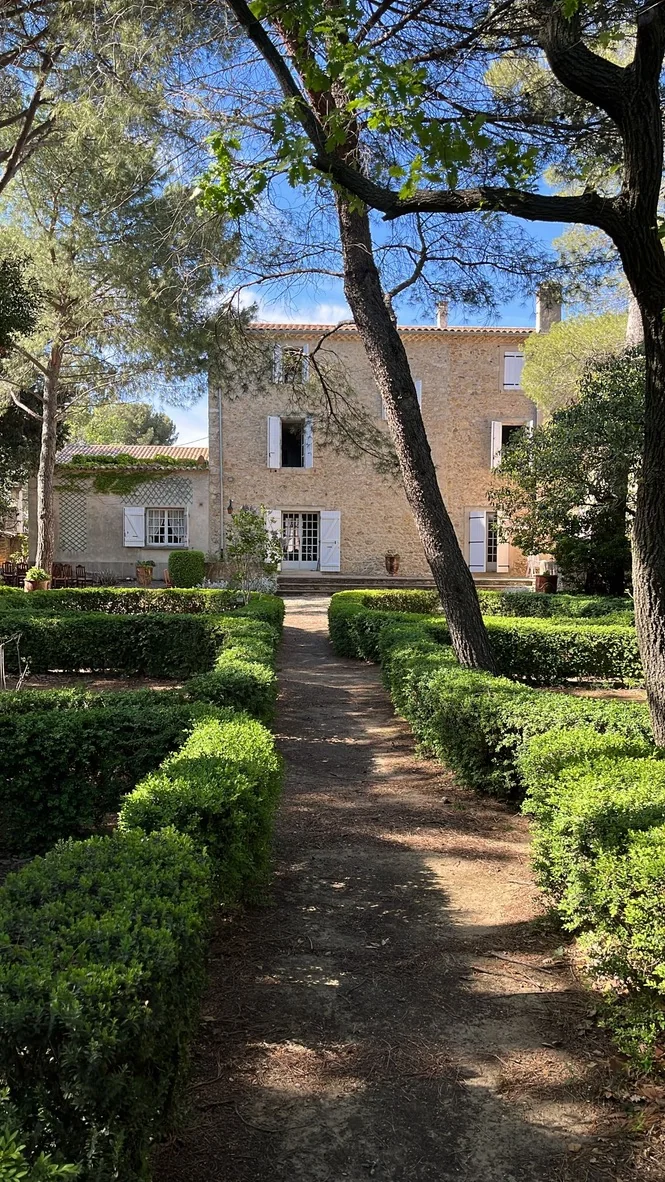 Le mas en pierre du domaine vu depuis le jardin a la francaise : allee centrale bordee de haies de buis taillees, pins, ciel bleu. Tres belle vue du patrimoine bati.