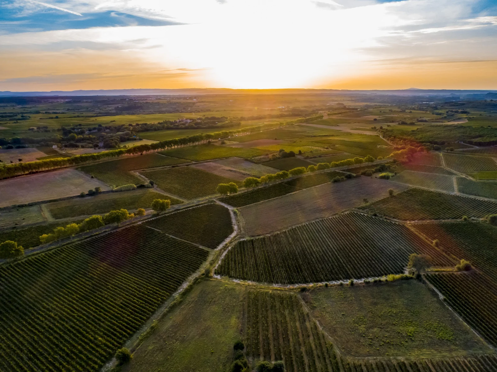 Les Caves Moliere — paysage