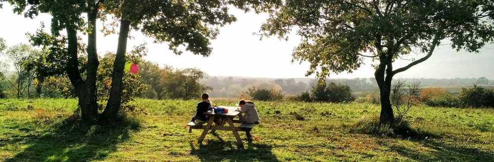 Trois bouteilles du domaine (Roussanne, Le Champ des Maures, L'Incandescente) couchees dans un parterre de fleurs sauvages jaunes. Belle photo de bouteilles en situation lifestyle.