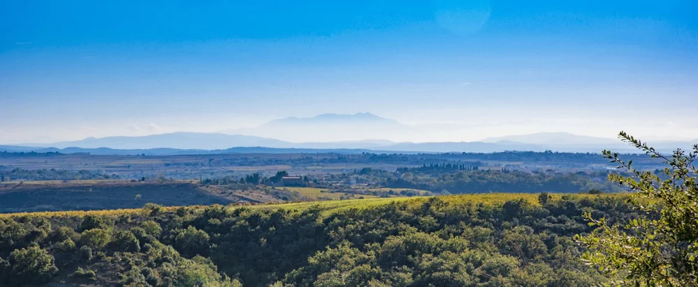 Vaste panorama du terroir : coteaux boises et parcelles de vignes au premier plan, plaine et chaine de montagnes brumeuses a l'horizon sous un grand ciel bleu. Format panoramique ideal en banniere. 1200x495.
