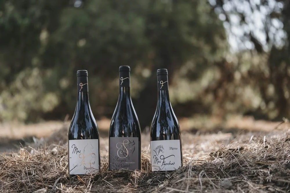 Trois bouteilles de rouge Mas Farchat (capsules au monogramme f dore) posees dans la paille, fond bokeh d'oliviers. Packshot lifestyle elegant et professionnel.