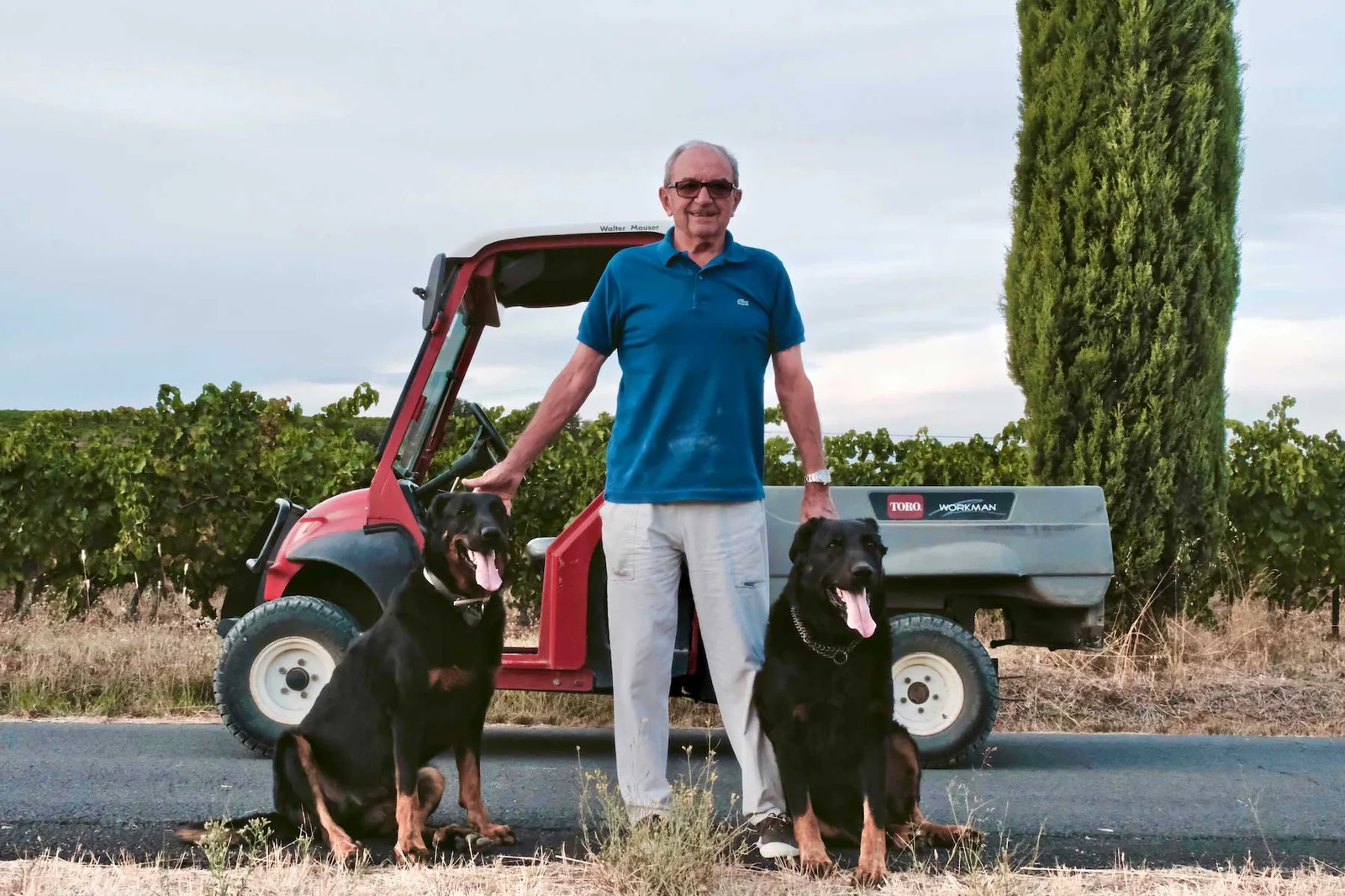 Jacques Frayssinet (fondateur, acquereur 1997) debout devant son vehicule utilitaire dans les vignes, accompagne de ses deux chiens, cypres et rangs de vigne en fond. Portrait humain chaleureux et authentique (1800x1200).